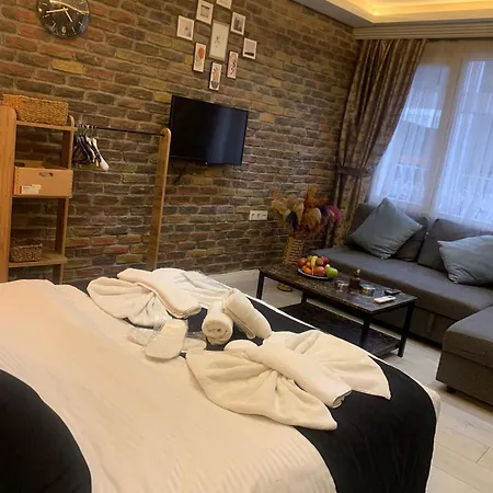 Апарт-отель The Sisli Beijing Group And Bistro